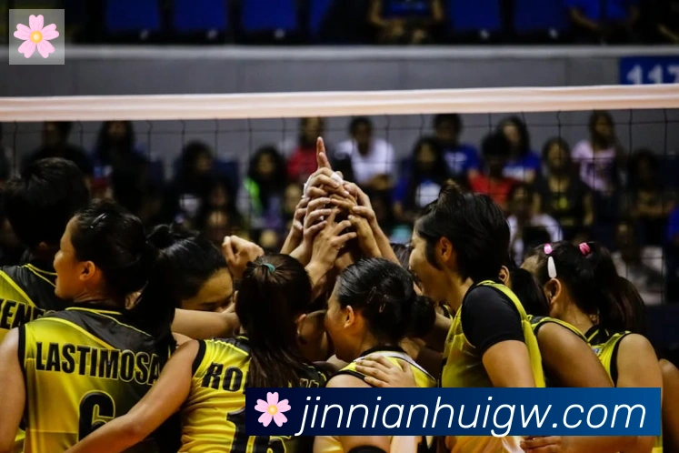 金年会平台生态图