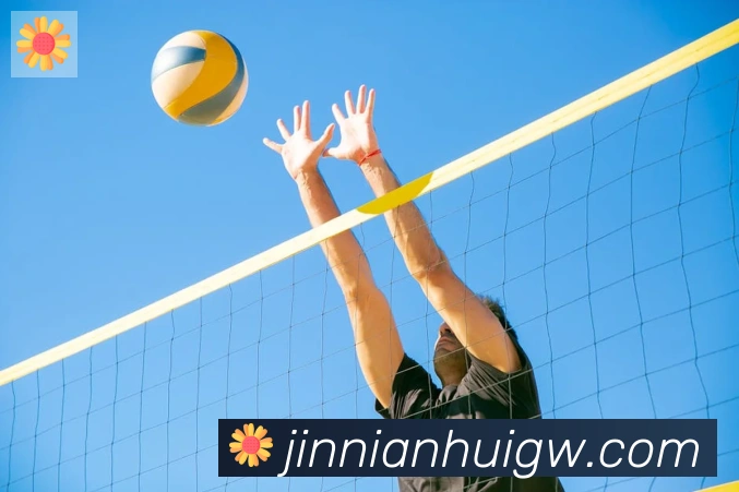 金年会服务体系